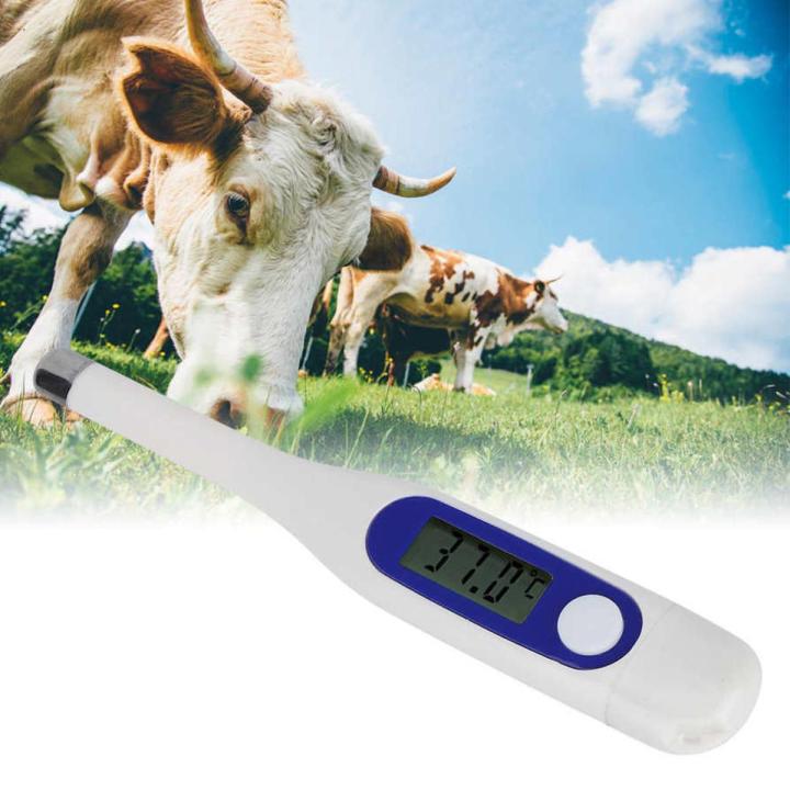 Veterinary Electronic Thermometer LCD Digital Animal for Cattle Sheep Horses Pigs Dogs Use