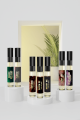 Scents N Stories | Our Top 30 Sample Set | Experience All At Once | Pocket Friendly Scents | 5ml. 