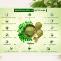 Moringa Powder/100% Pure & Organic 100 grams-Best for Weight loss |moringa Oleifera Powder /Moringa Super Food/Improve Digestive System, Boost Immune System/premium quality. 