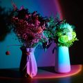 Sunset Lamp with Phone APP Remote-16 Rgb Colors LED Projection| Light-Ambient Lighting Mood Setting-Golden Hour Light| Photography Tiktok-USB Night| Sunset Light with Remote Control LED Projector Sunlight Lamp Sunrise Lamp for Selfie Lighting Party Decor. 
