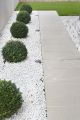 White Medium Pebbles/ Stones for Garden and Aquarium  1 kg pack. 