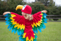 Parrot Costume. 