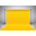 8x5 feet Green Screen Chroma Key Studio Backdrop in all colours Video Photo Background Removing Sheet non-woven fabric-Professional for Photo Studio. 