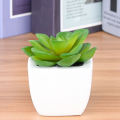 High Quality Artificial Mini Succulents Plant, Artificial Lotus Plant with White Ceramic Square for Home & Office Decor. 