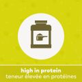 Yupik Organic Fermented Pea Protein Powder 80% Superfood, Non-GMO, Vegan, Gluten-Free, 1kg. 