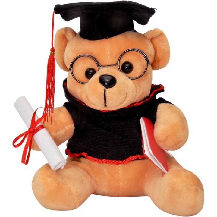 Graduation Degree Holding Teddy Bear Daraz.pk