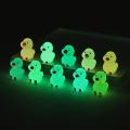 10Pcs Mini Luminous Resin Ducks Glow In The Dark Miniature Ornament Tiny Duck Sunlight Super Store. 
