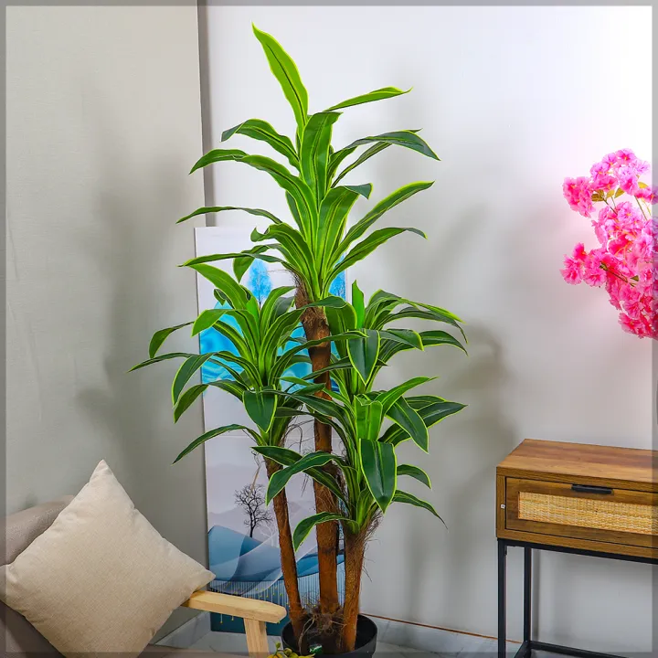 Imported%20artificial%20%20Dracaena%20Plant%20with%20black%20Planter%20-%20Image%206