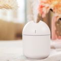 Electric Humidifier 250ml Mini Ultrasonic Air Purifier LED Lamp USB Diffuser. 