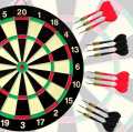 Pro Level Play Professional Dart Boards for Adults with Steel Tip Darts Tournament Quality. 