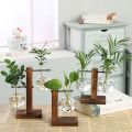 Hydroponic Plant Vases Vintage Flower Pot Transparent Vase Wooden Frame Glass Tabletop Plants Home Bonsai Decor Home Vase. 
