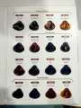 Metter New Hair Color direct cut down color Permanent hair Long Lasting. 