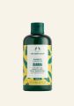 The Body Shop Banana Truly Nourishing Shampoo (250ML). 