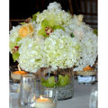 Techmanistan Clear Glass Vase, Round Glass Vase Bowl, Clear Glass Cylinder Vase, Round Vase for Floating Candles, Small Floral Glass Vase for Home Decor, Wedding Centerpiece (1 Piece). 