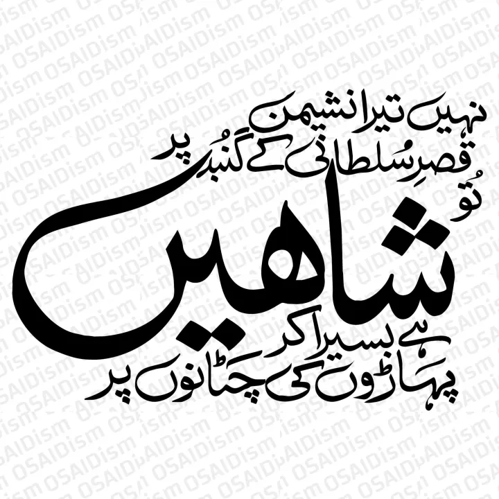 24inch%20X%2016inch%20Kalam%20e%20Iqbal%20Wall%20Decal,%20Removable%20Vinyl%20waterproof%20Sticker%20DIY%20-%20Allama%20Iqbal%20Theme%20-%20Image%204