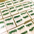 Q81D 10 Pcs Real Dried Pressed 4-leaf Clover Dried Flowers Leaves Epoxy Mold Fillers for DIY Resin Crafts,Soap Candle Making. 