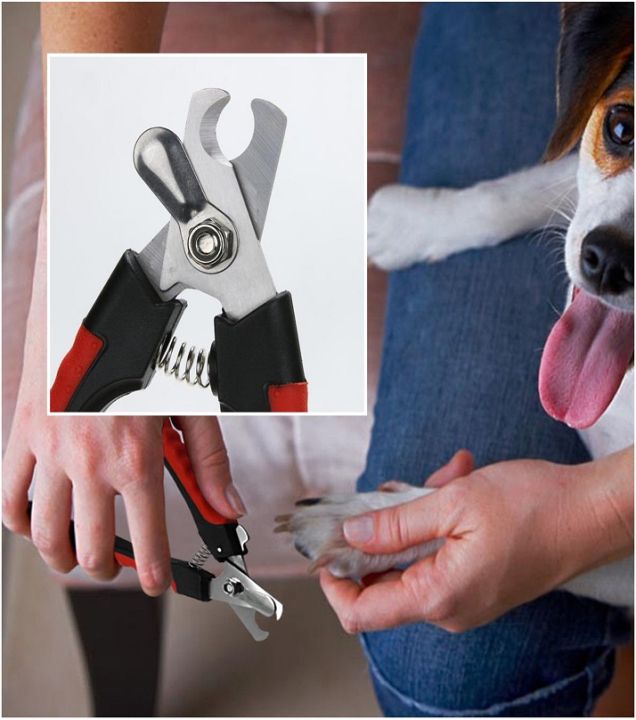 Cat%20Nail%20Clipper%20Cutter%20Dog%20Nail%20Clipper%20Cutter%20Pets%20Pet%20Toe%20Care%20Stainless%20Steel%20Dogs%20Cats%20Scissors%20Clippers%20Grooming%20Trim%20Nails%20Birds%20+%20Nail%20File%20-%20PS318%20-%20PS-GR%20-%20Image%206