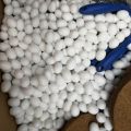 Dummy Eggs For Finch/Java Pack Of 2 By KS Pets Care. 