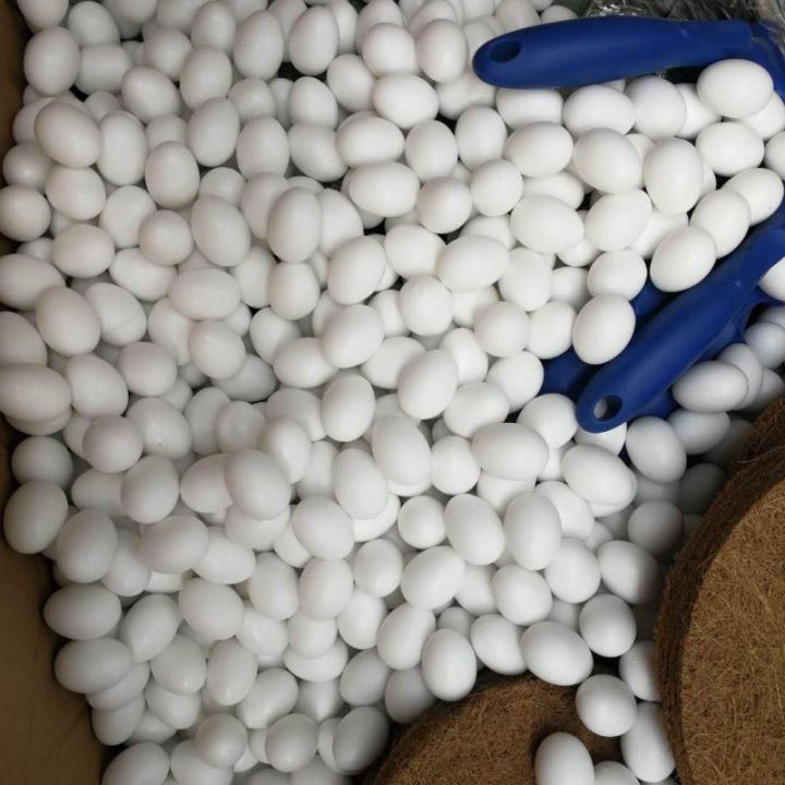 Dummy%20Eggs%20For%20Love%20Bird/Exibition%20Pack%20Of%202%20By%20Ks%20Pets%20Care%20-%20Image%203