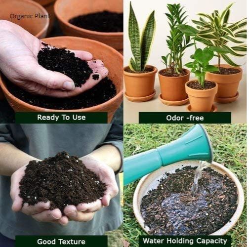 Organic%20Potting%20soil%20mix%20%7COrganic%20Potting%20mix%20%7C%20Organic%20Plant%20Soil%20%7C%20Soil%20Less%20Potting%20Soil%20Mix%20%7C%20for%20Plants%20,%20Soil%20substitute%20,%20Organic%20Potting%20Mixture%20100%25%20Natural%20Premium%20Soil%20%20available%20in%200.5%20kg%20,%201Kg,%202kg,%203kg%20-%20Image%205