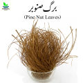 Barge Sanober 500gm برگ صنوبر - Pine Nut Leaves Dry - Chilgozay Ke Patty - 100% Original, Pure - Barg e Snober Half KG by Herbisol. 