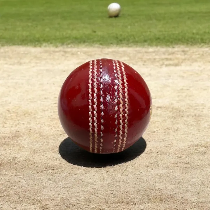Cricket%20Weight%20Ball%20(300%20&%20500%20Garam)%20Heavy%20Weighted%20Ball%20-%20Image%206