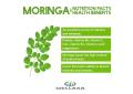 Organic Moringa Powder 100 Gram. 