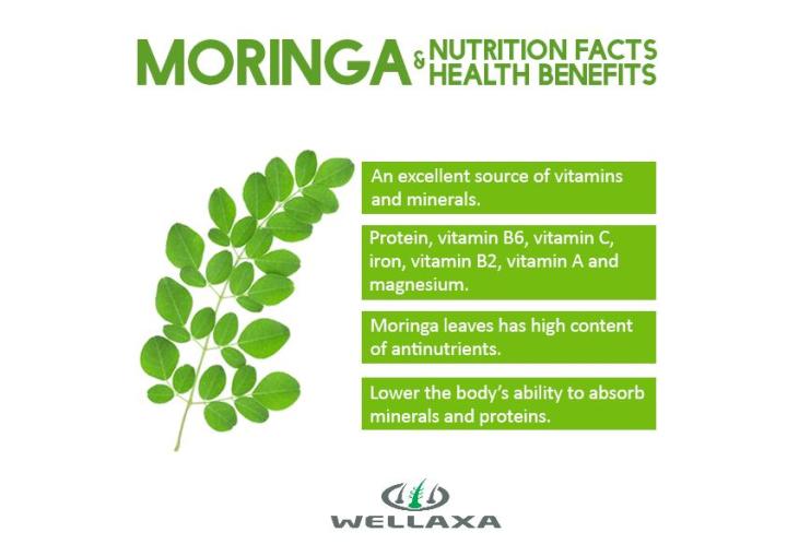 Organic%20Moringa%20Powder%20100%20Gram%20-%20Image%207