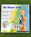 The human body science and nature Educational toy for kids 10 body parts with a stand. 