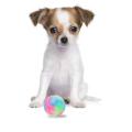 Bite Resistant Glowing Elastic Ball Durable Flashing Molar Interactive Ball Pet Rubber Chew Toy For Cats Dogs To Away From Bored. 