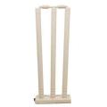 Plastic Wickets Set for Cricket - Large - 28 Inch. 