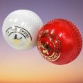 Synthetic Cricket Ball. 