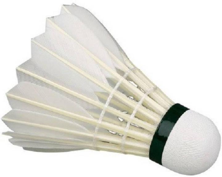 Badminton cocks discount