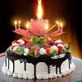 Happy Birthday Candle With Music & Magical Sparklers - Big. 