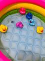 UD Traders sillicon bathtub & swiming pool duck toy. 