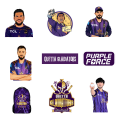 25pcs CRICKET PAKISTAN sticker pack for all sports fan psl quetta purple power ideal for journals bags laptops. 
