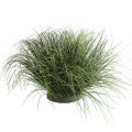 5PCS/lot New Artificial Grass Onion Rush Grass Artificial Plant for Decoration Home Garden Wall Decor Green Plant. 