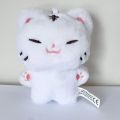 Kpop Idol Seventeen Hoshi Plush Dolls Stuffed Animal Tiger Dolls. 