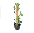 Green Artificial Money Plant leave with Coconut stick  Decorative Flowers Plants best for Home and office Décor. 