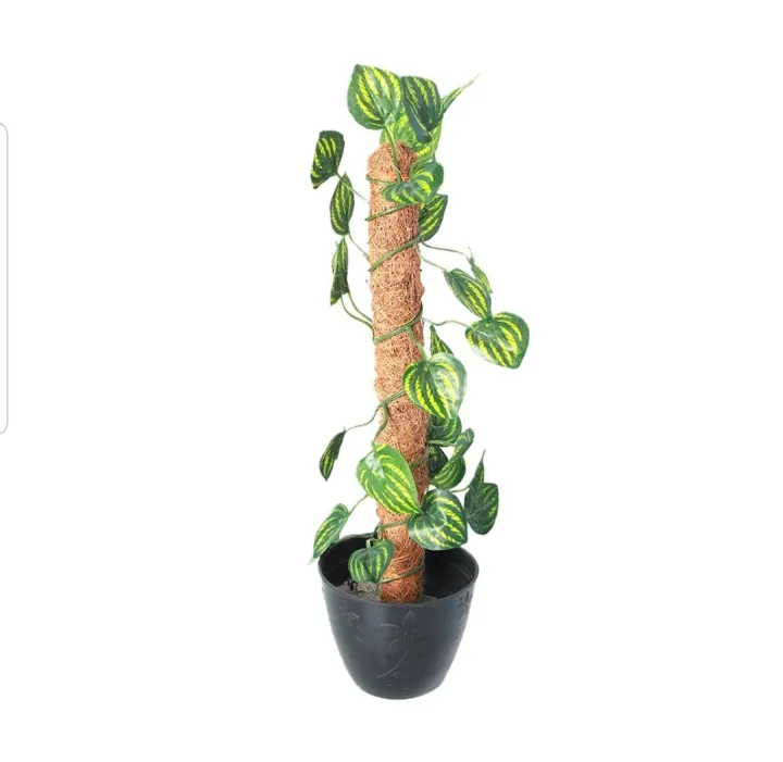 Green%20Artificial%20Money%20Plant%20leave%20with%20Coconut%20stick%20%20Decorative%20Flowers%20Plants%20best%20for%20Home%20and%20office%20D%C3%A9cor%20-%20Image%202