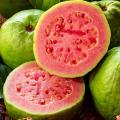 Red/Pink Guava Amrod Tree Seeds Home Kitchen Gardening Seeds. 