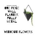 Indoor Wall Planter and Wooden Wall Display Shelves with Black Metal Frames Metal. 