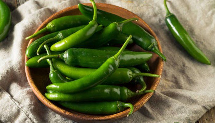 20+%20F1%20Hybrid%20Green%20Chilli%20Chili%20Seeds%20(Sabaz%20Mirch)%20Kitchen%20Gardening%20Vegetable%20Premium%20Quality%20-%20Image%203
