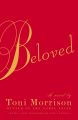 Beloved novel. 