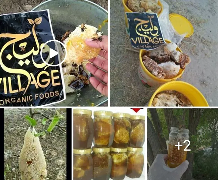 Acacia%20honey%201kg%20organic%20honey%20100%25khalis%20-%20Image%205