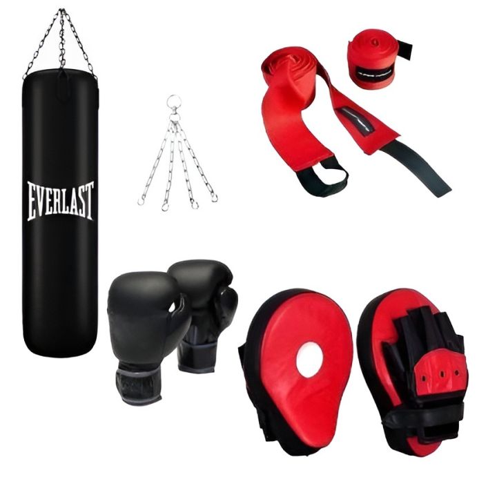 ALPINE Sports 1 Unfilled Punching Bag of 2, 3 or 4 Feet For Boxing
