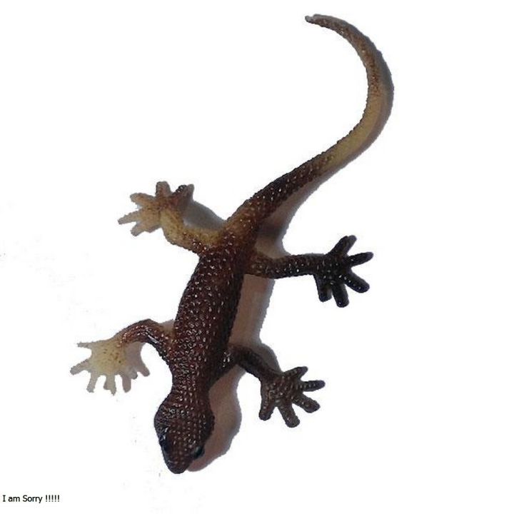 Bclub Kids Lizard Rubber