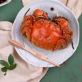 Versatile Seafood Fork Stainless Steel Seafood Cracker Fork Set for Lobster Shellfish Versatile Kitchen Tool for Home Cooking Smooth Surface Design Crab Fork. 