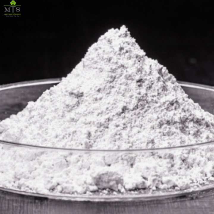 Gypsum%20Fertilizer%20For%20Plants%20-%20Gypsum%20Powder%20For%20Gardening%20(Imported%20Italy)%20500%20Grams%20Pack%20-%20Image%204