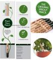 Sprout Plant Pencil With Seed Home Office Garden Decor Sprouting Pencils with Plants Seeds. 